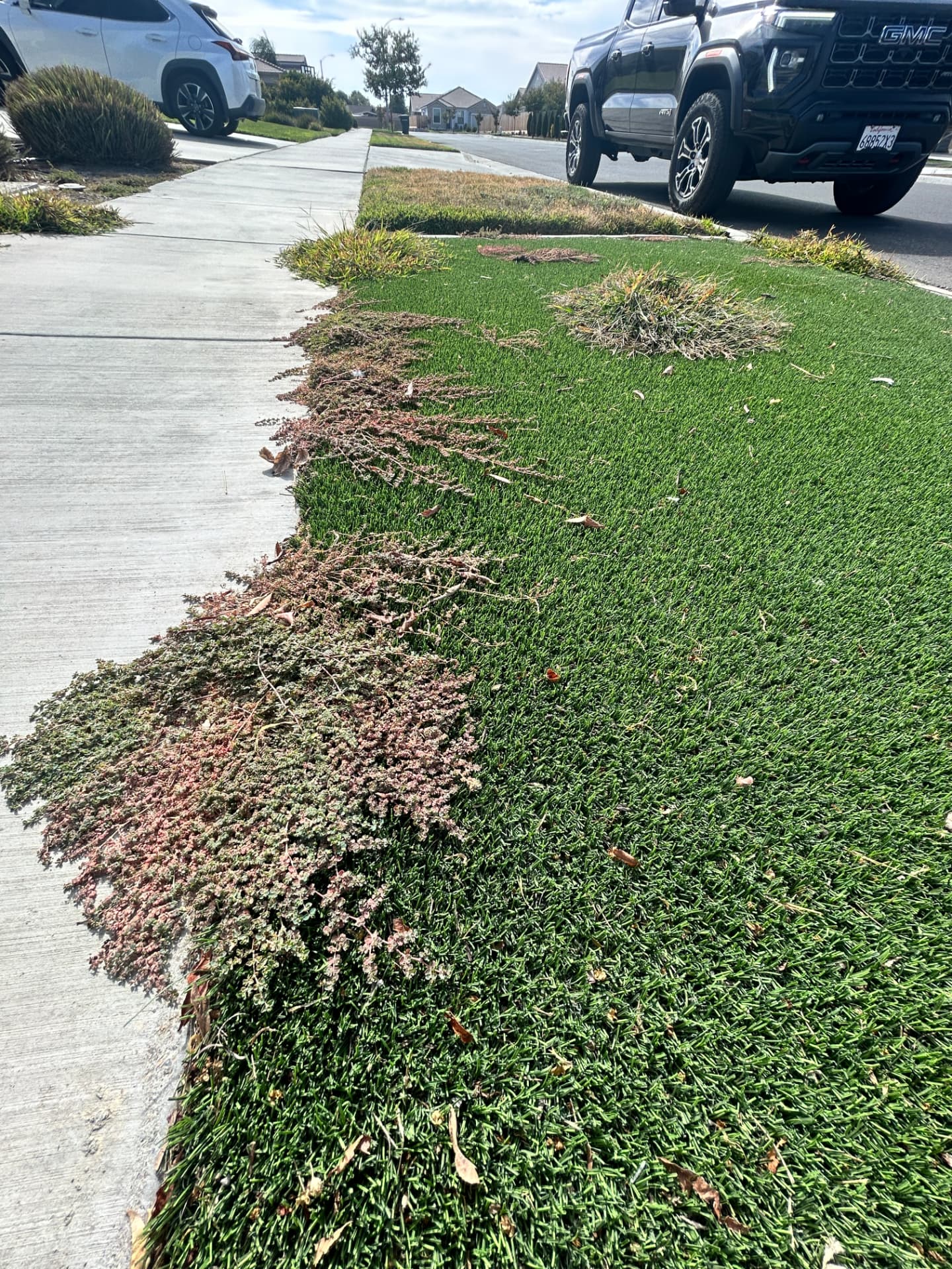 Weeds & Edges